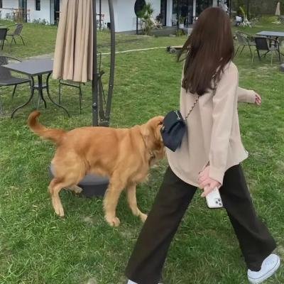 萨米温与达西玛